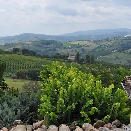 La Nicchia Di Mercato