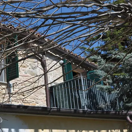 La Nicchia Di Mercato